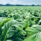 WhatsApp Image 2025-11-26 at 12.43.17 (1)