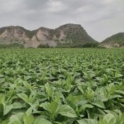 WhatsApp Image 2025-11-26 at 12.43.17