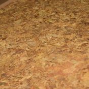 WhatsApp Image 2025-11-26 at 12.48.30