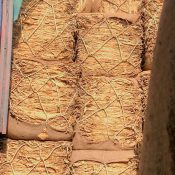 WhatsApp Image 2025-11-26 at 12.48.32